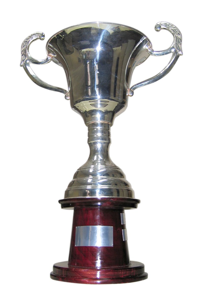 a trophy is sitting up against a white background