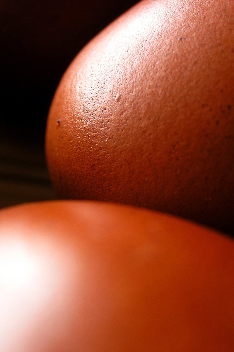 closeup of a pair of brown and black pears