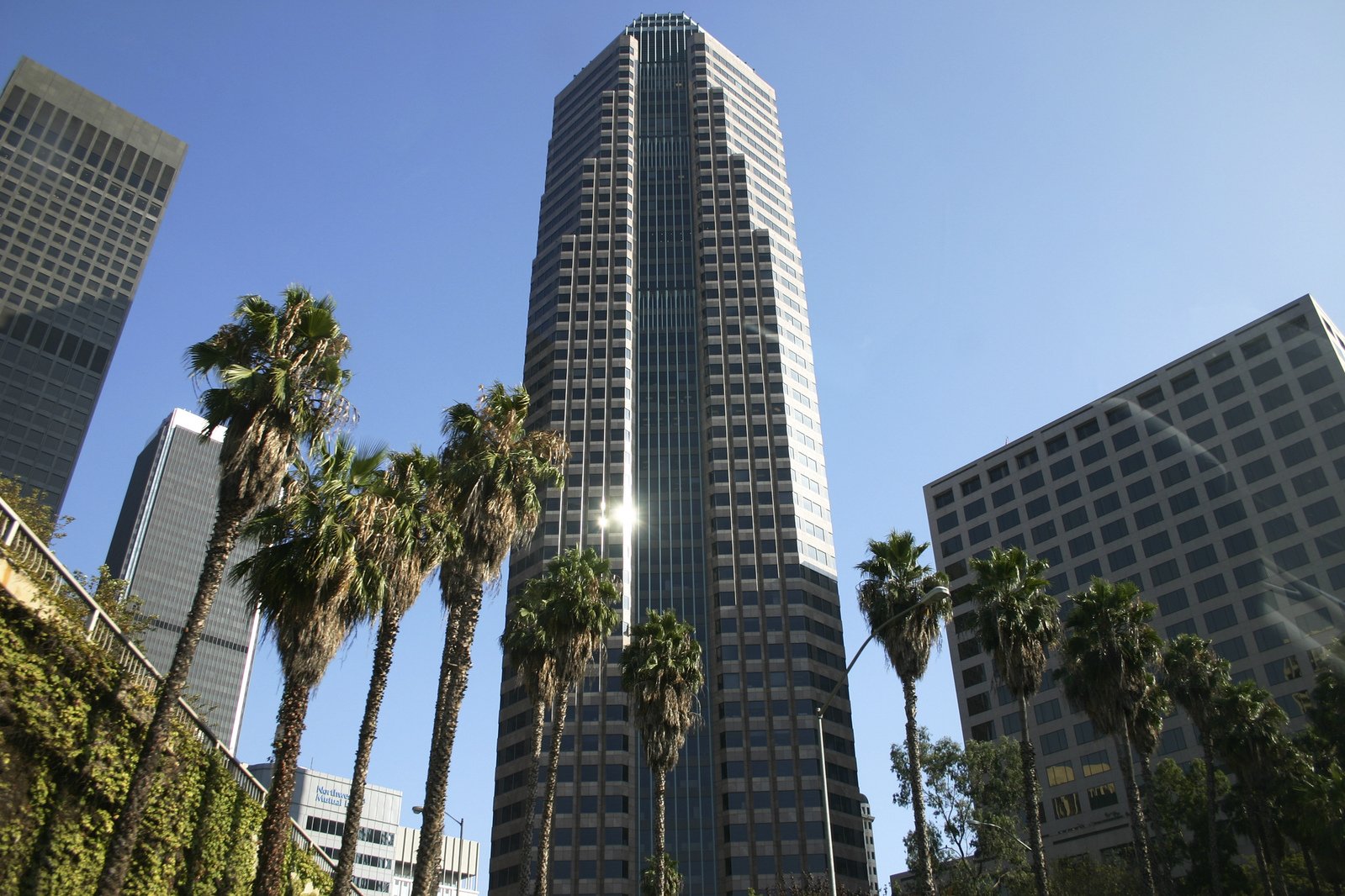 a tall building with several palm trees in front