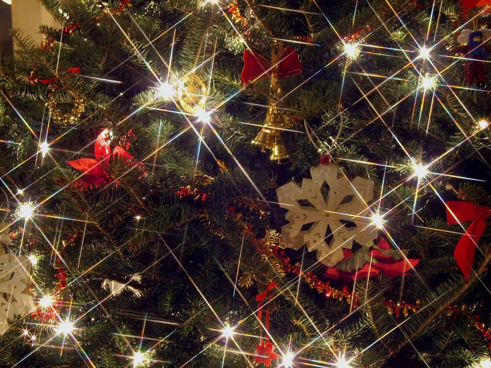 a beautiful christmas tree with a snowflake and lots of stars