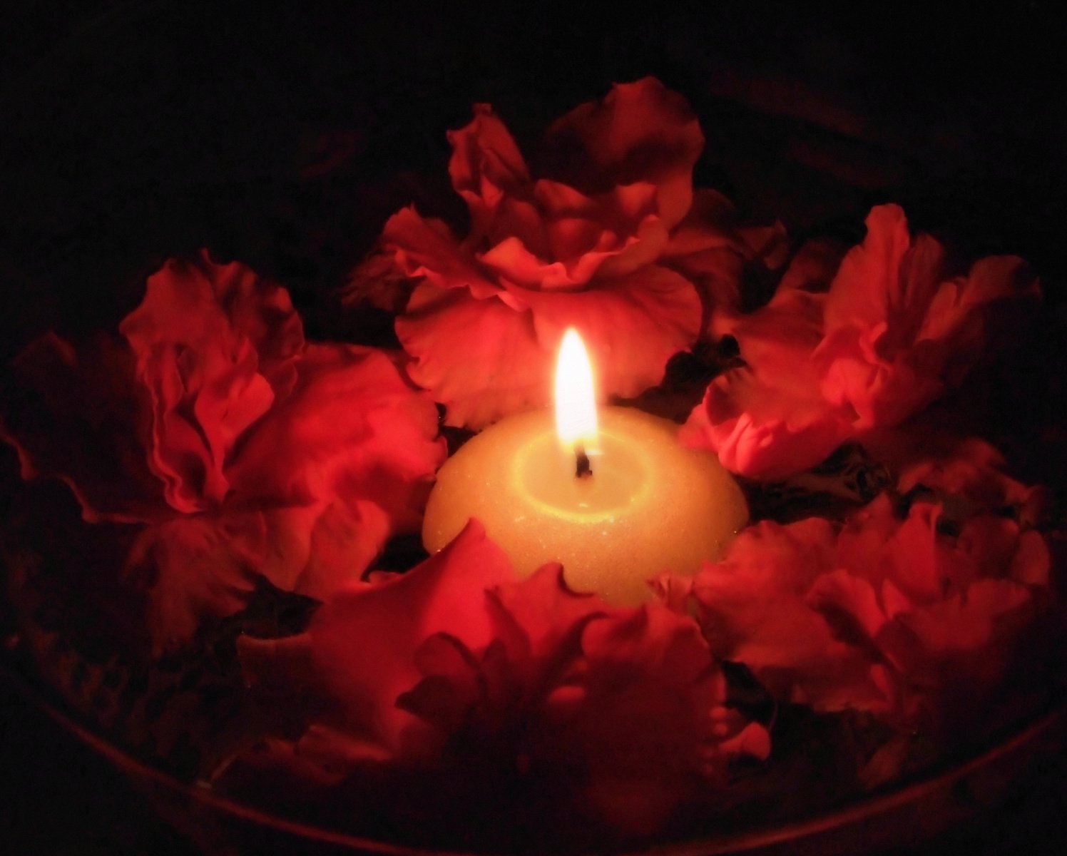 a candle lit in some red flowers with a dark background