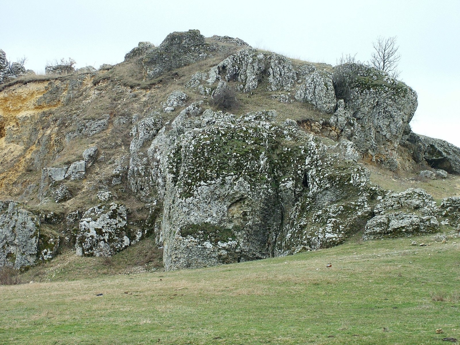 a big rock wall sits behind the green grass