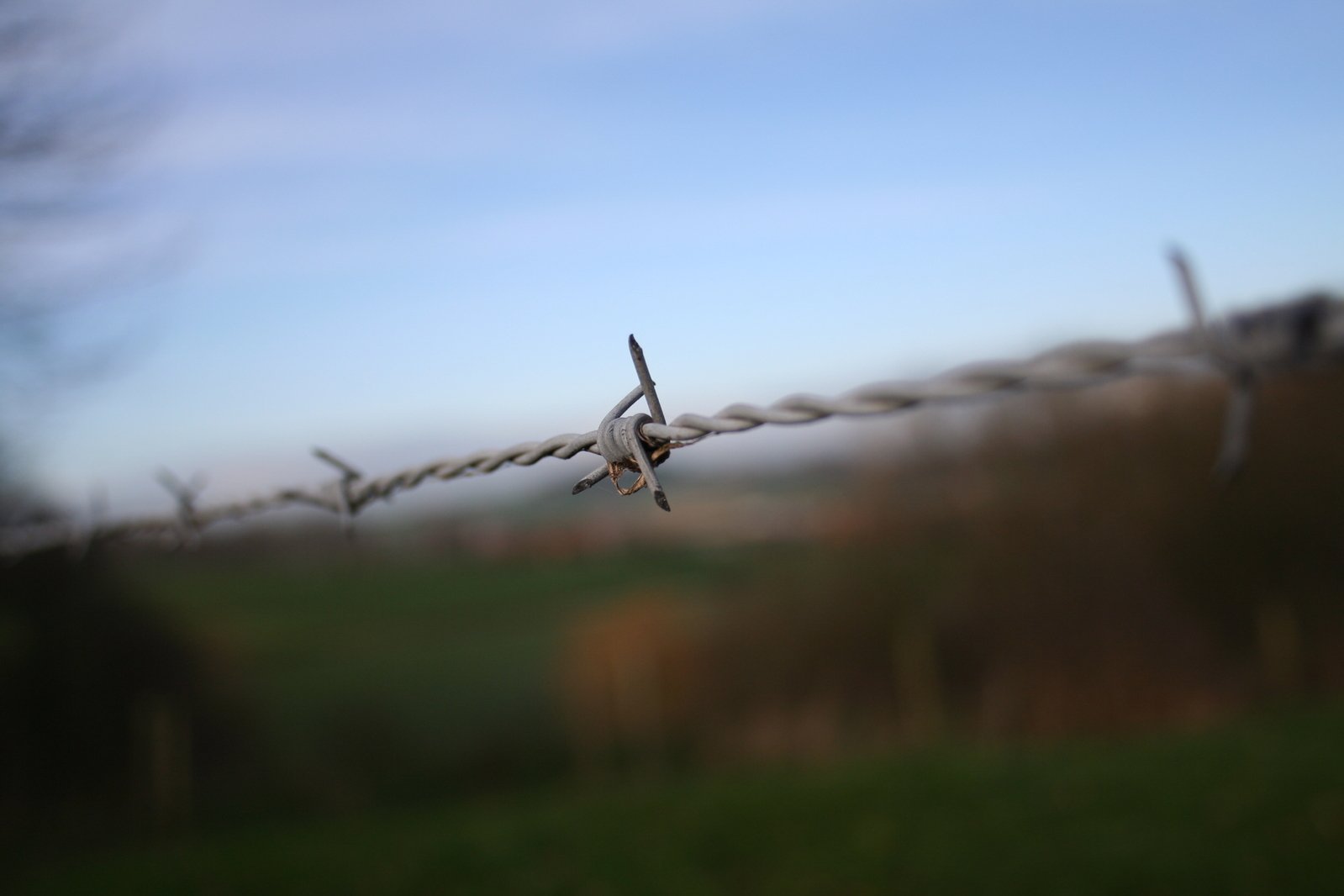 the barb wire on the fence is bent so that it can be seen in the distance