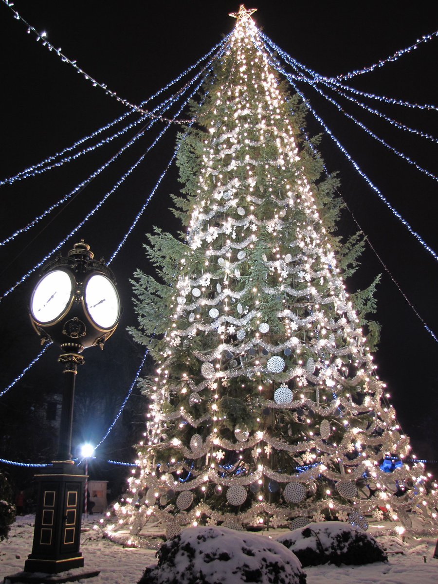 a christmas tree in a city square lit up