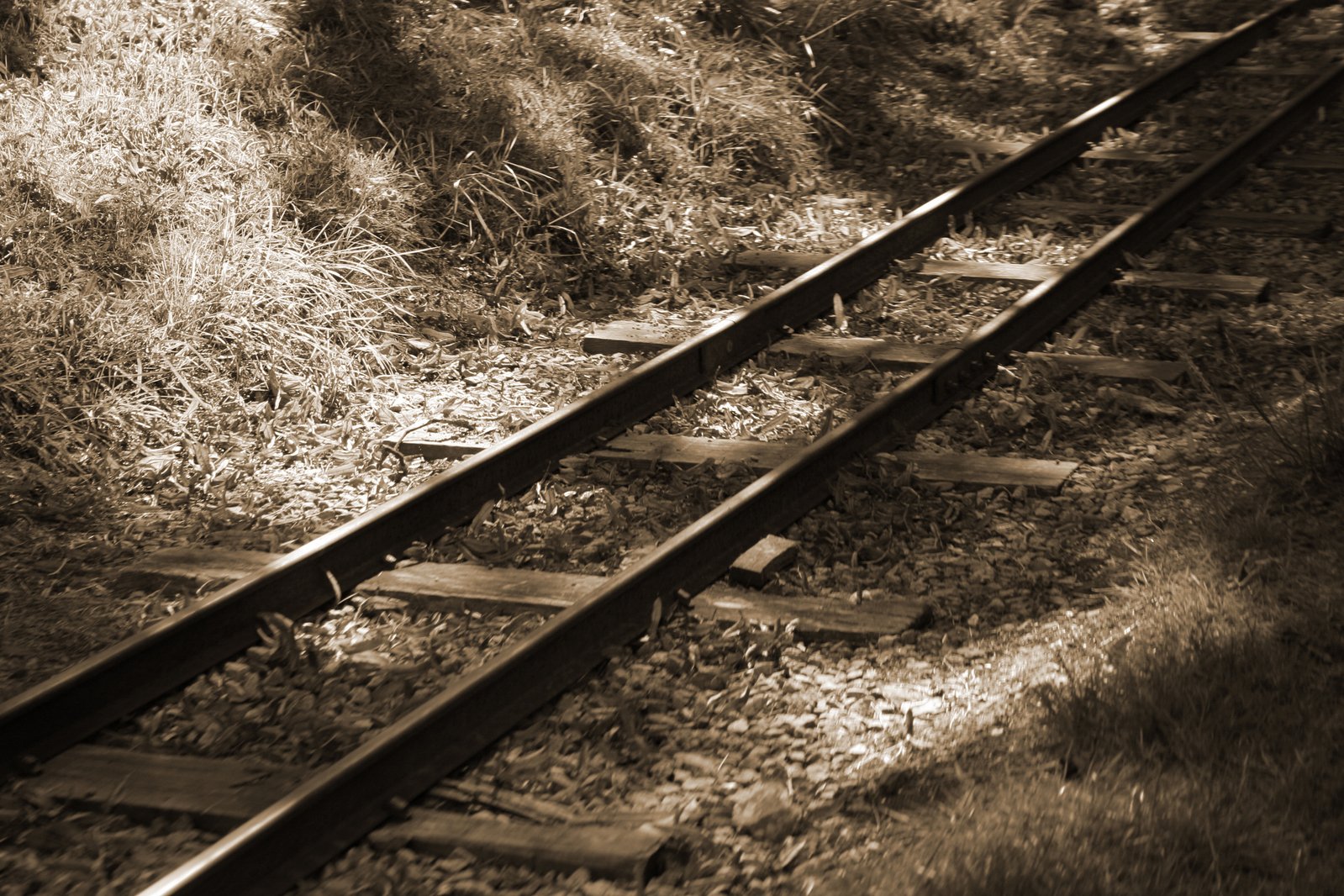 sepia pograph of train tracks in a grassy area