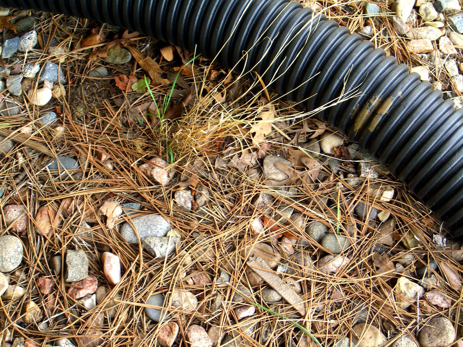 a black water hose is laying on the ground