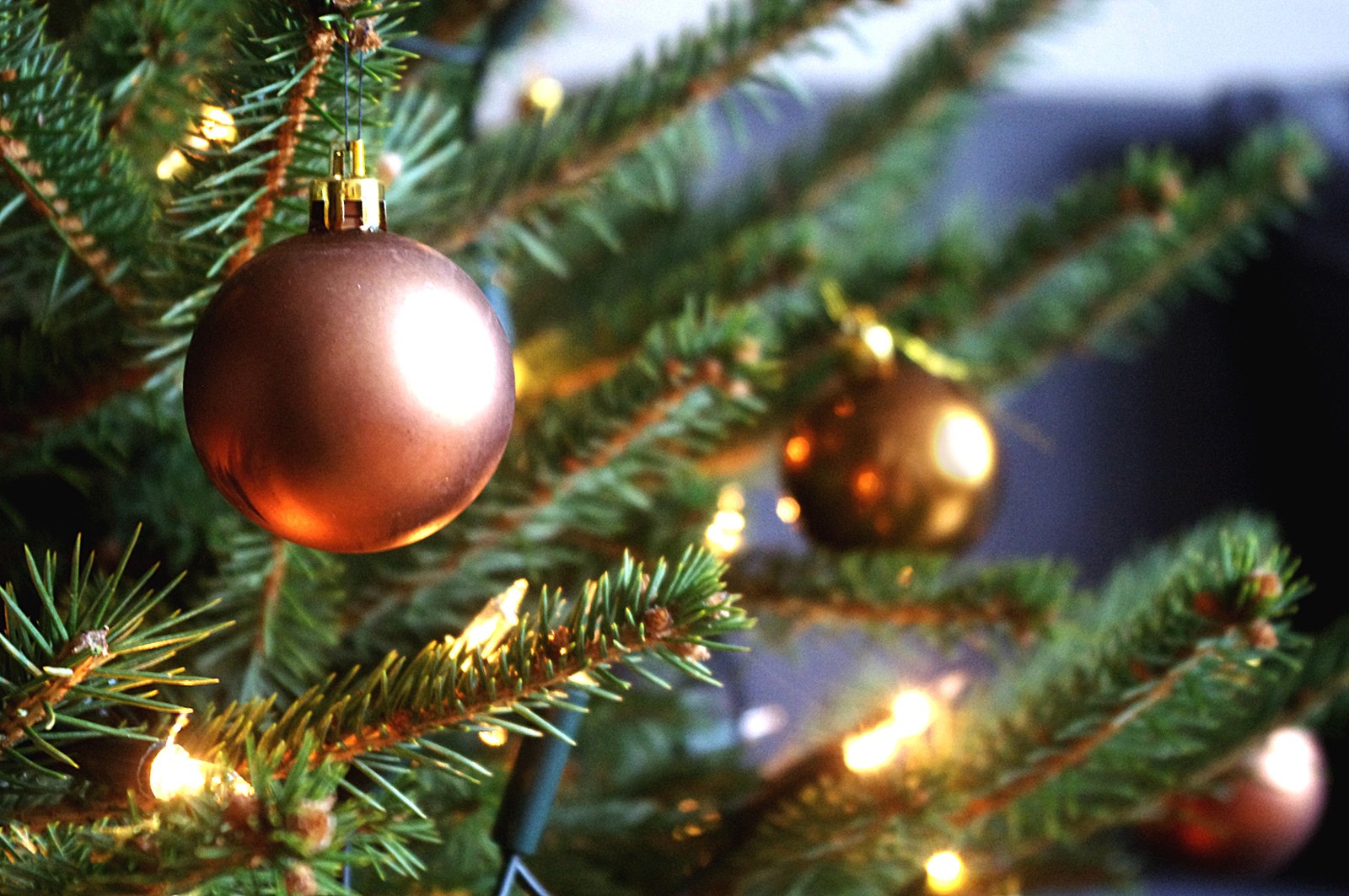 a brown and gold christmas ornament hanging on a tree