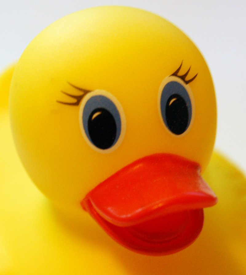 there is a close up picture of a rubber duck