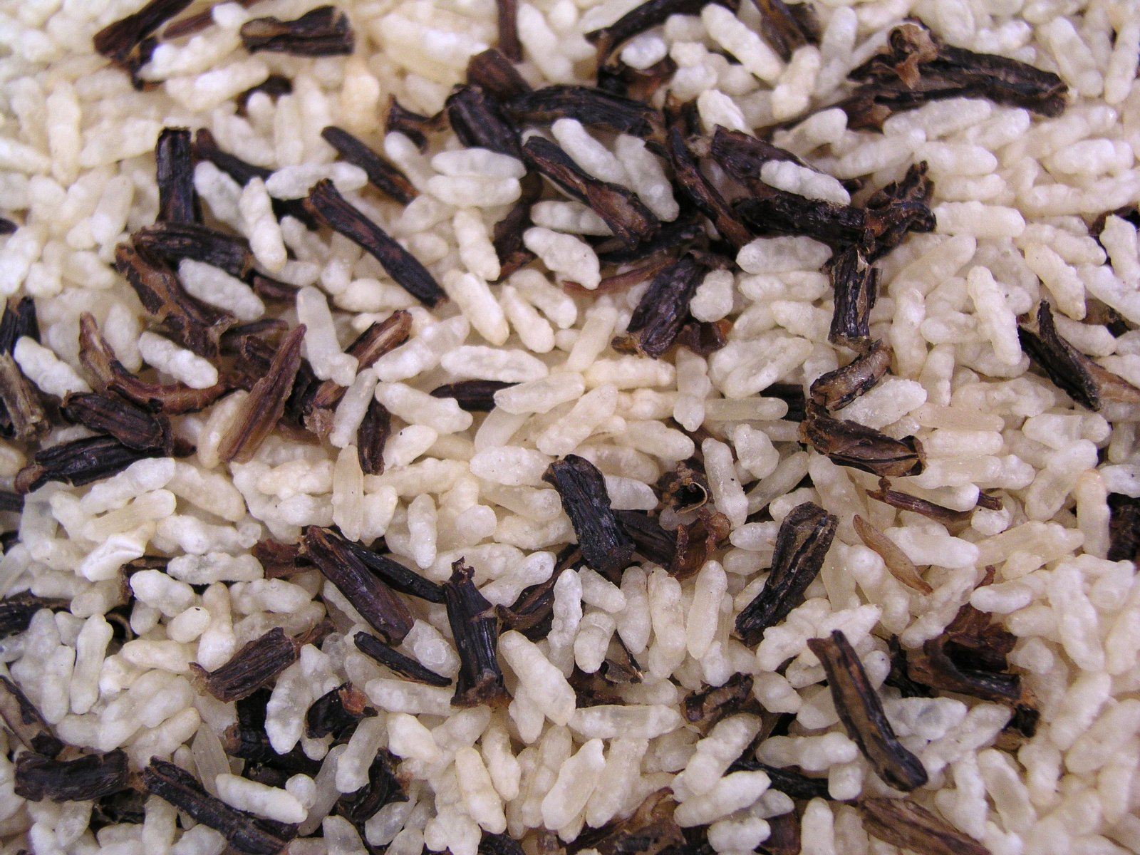 the seeds are brown and white in color