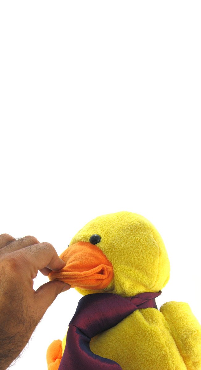 a man holding a toy yellow duck on it's mouth