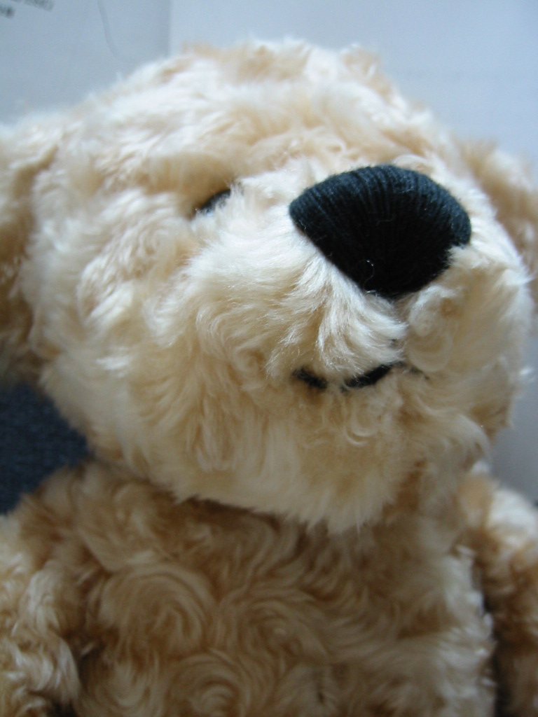 there is a teddy bear that has black eyes