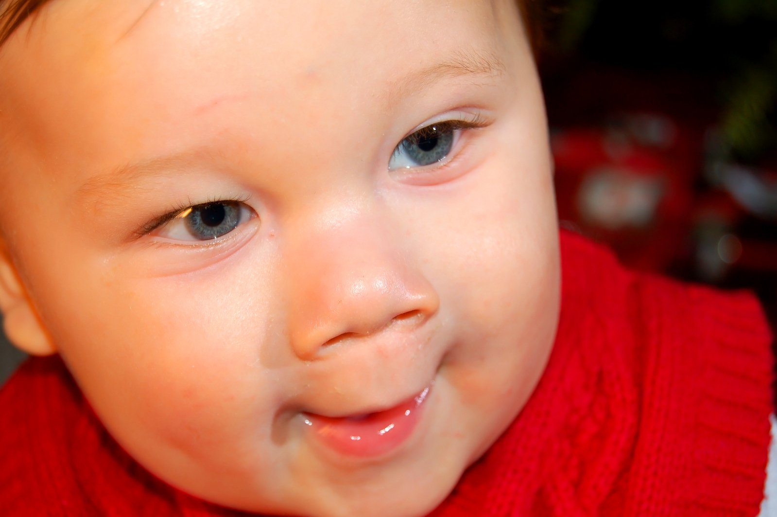 a baby with a blue eye and a red collar