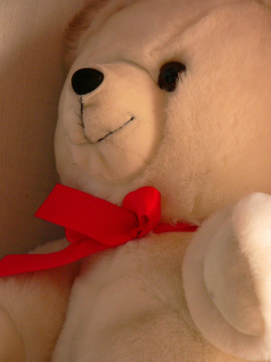 a white teddy bear with a red ribbon