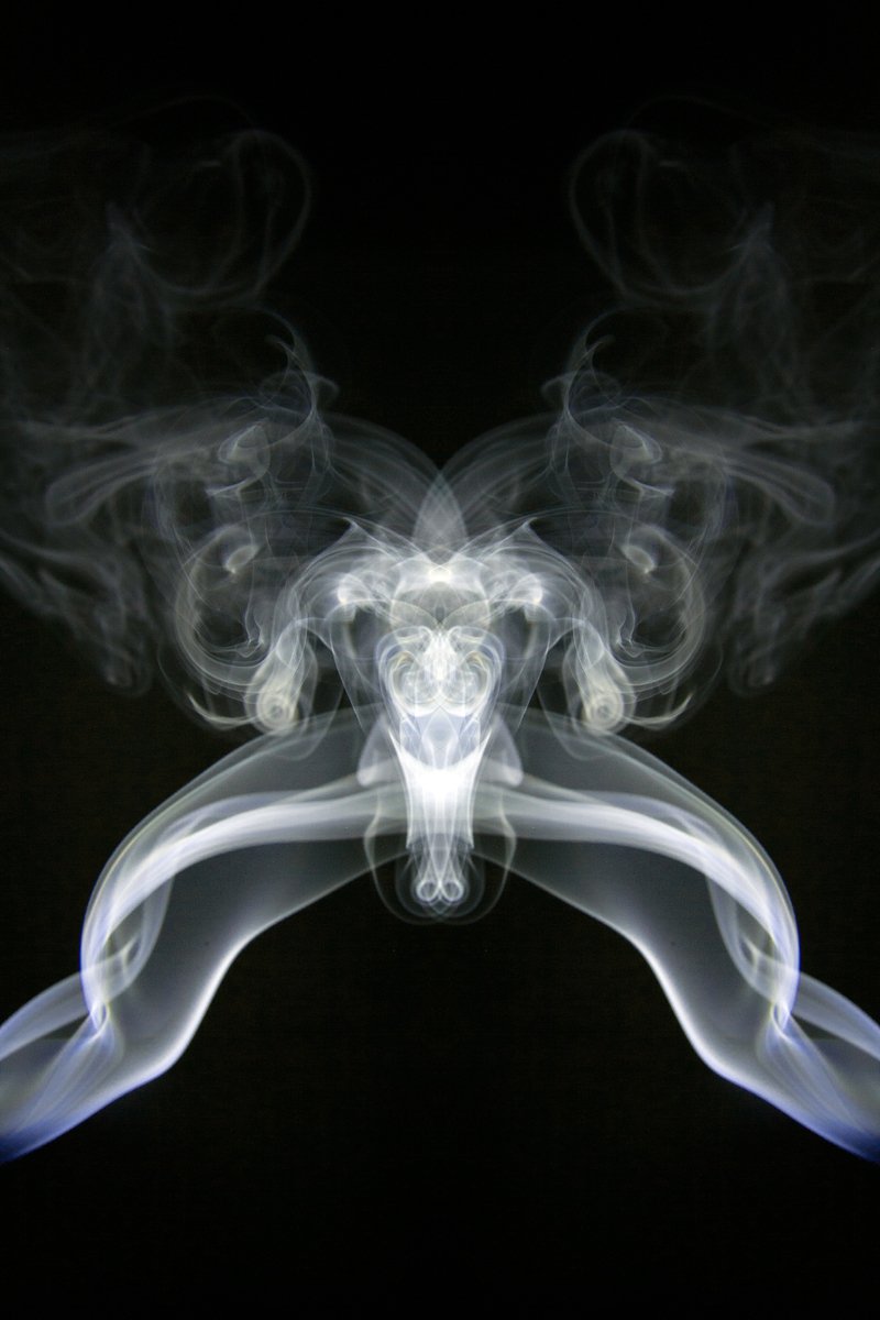 smoke blows along the skin of the animal's head