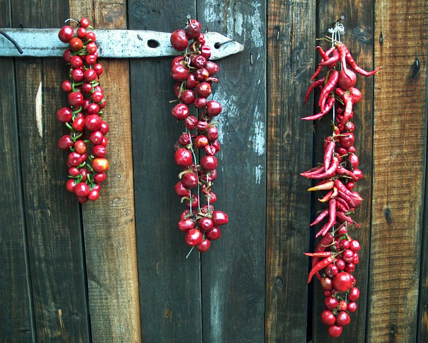 a close up of three metal vegetables on a piece of wood