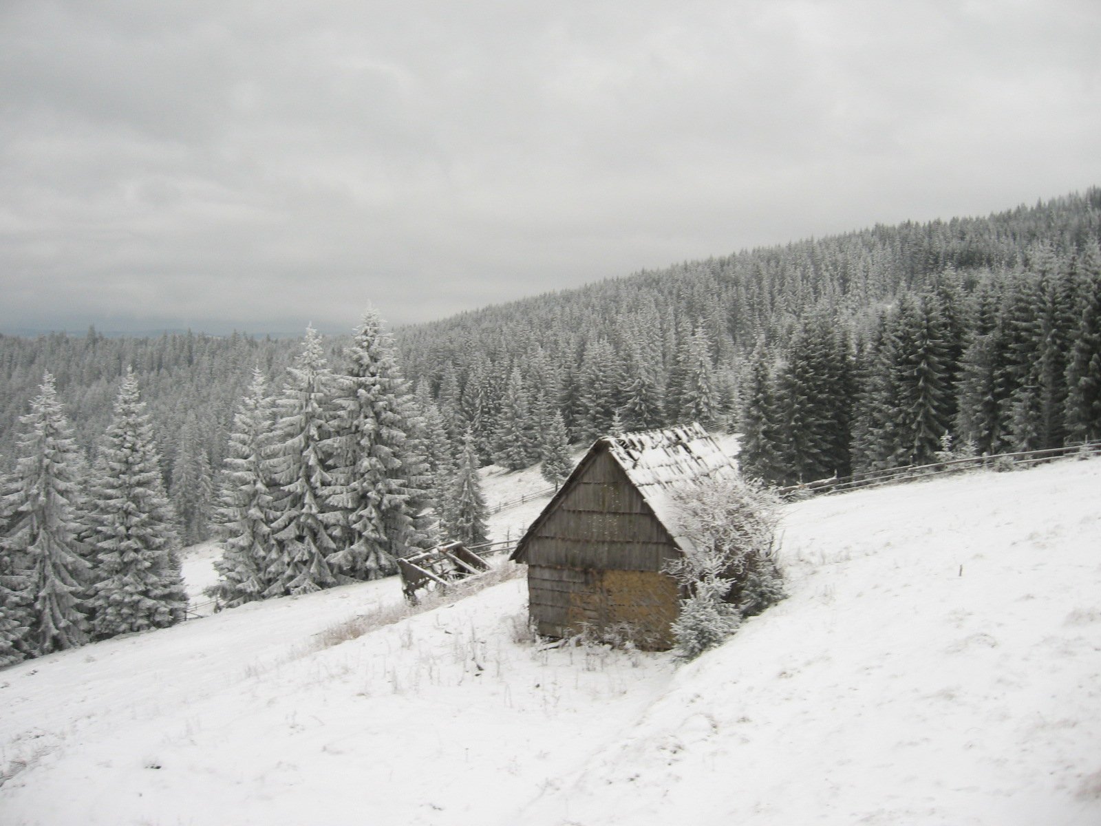 a cabin in a snowy wooded area