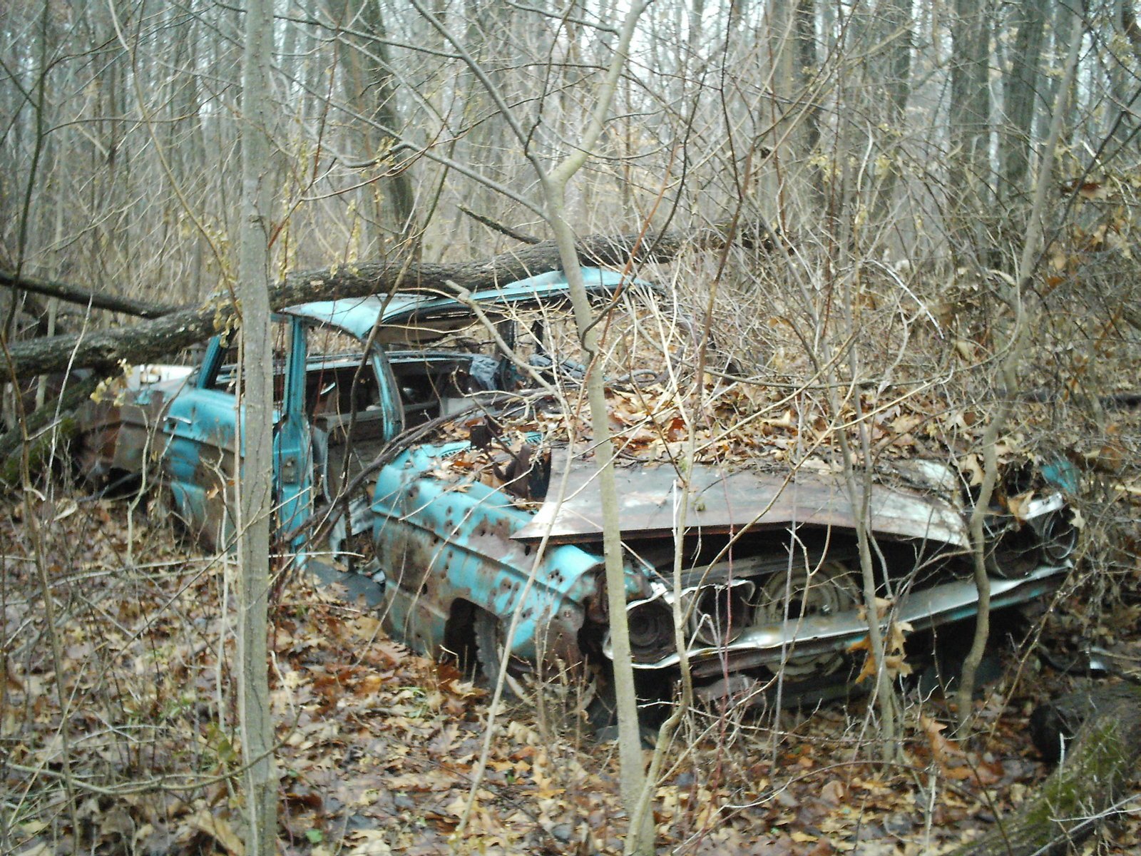 an old car sits in the woods surrounded by dead trees