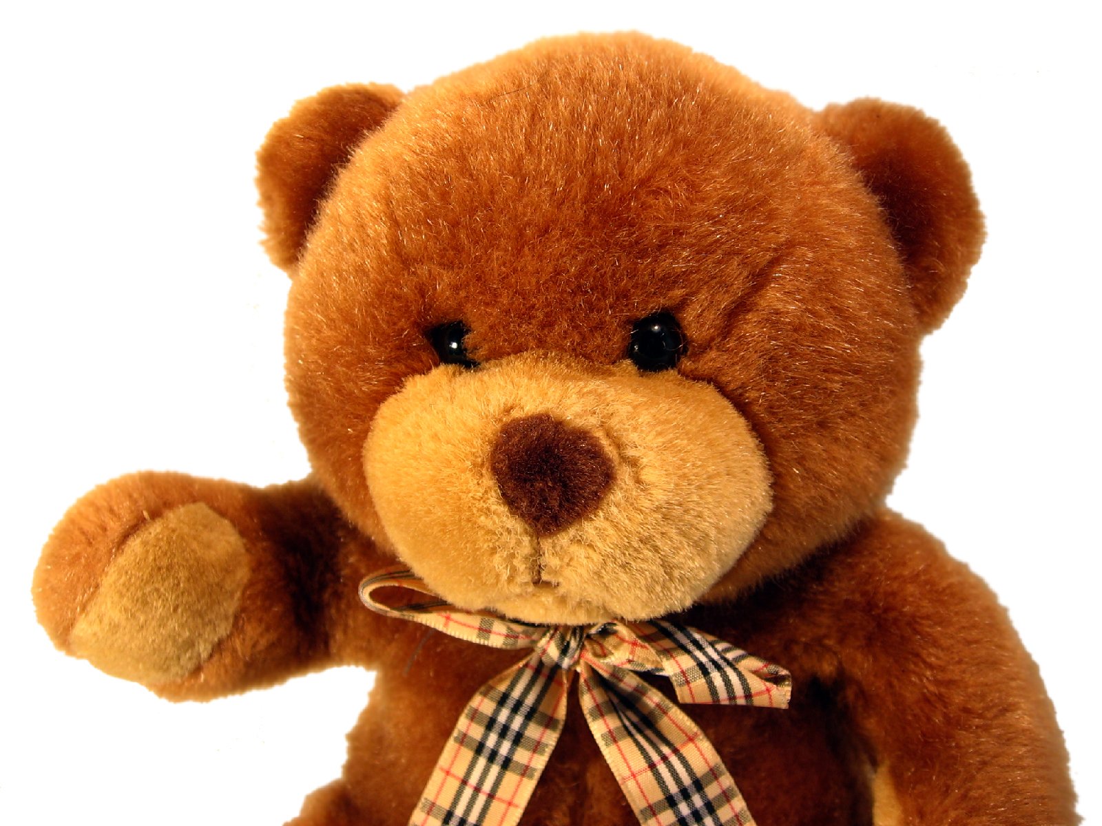 a brown stuffed bear with a bow on it's chest