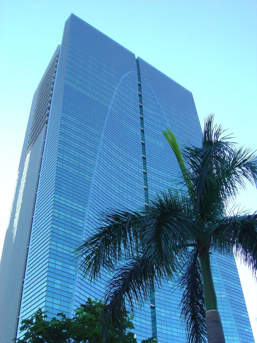 a very tall glass building with two palm trees