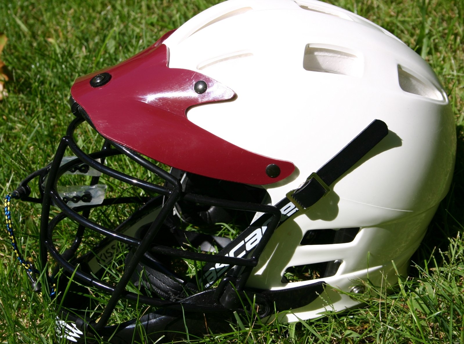 a helmet sits in the grass with the word florida on it