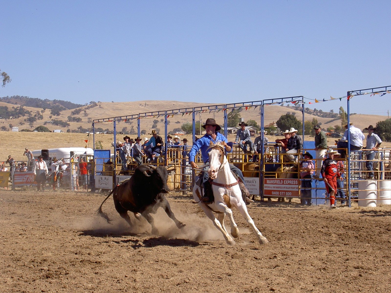 a couple of people riding on the backs of horses