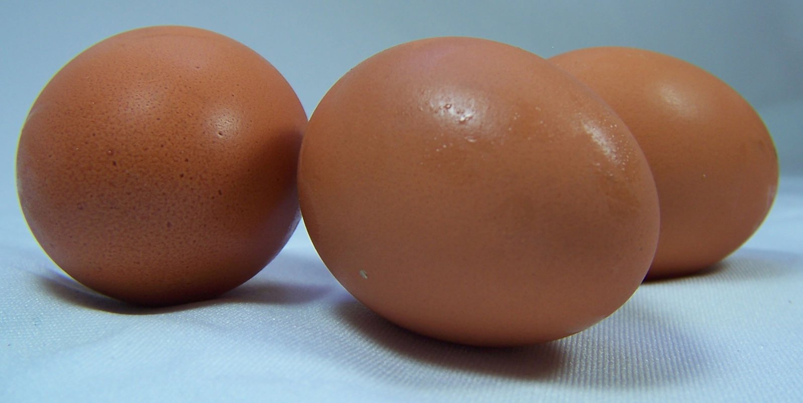 three brown eggs are lined up in the row