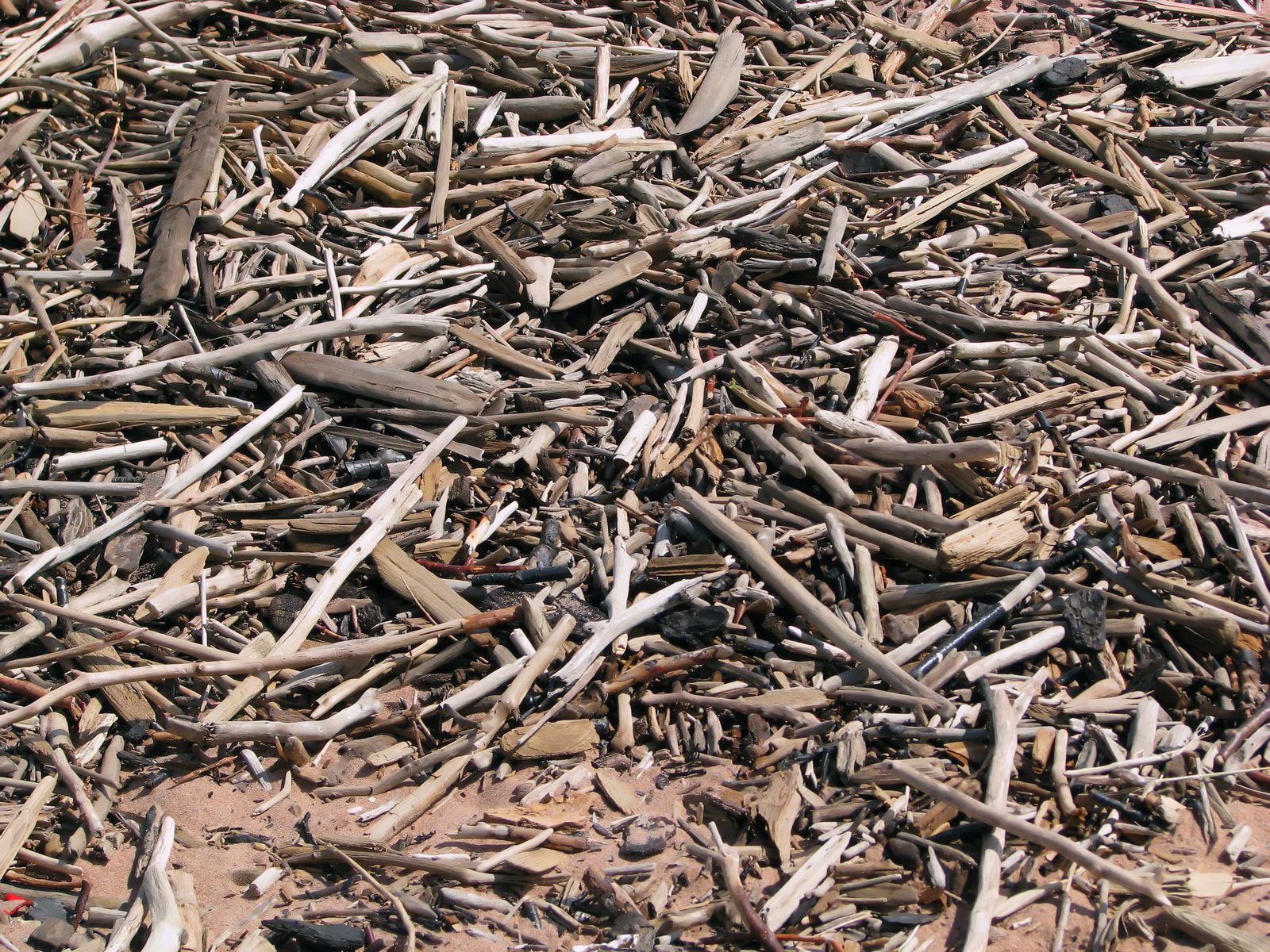 there is a pile of many different pieces of wood