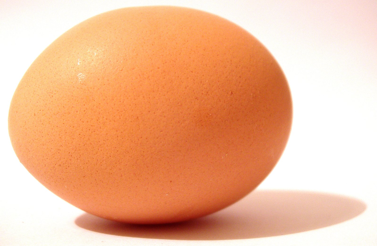 an egg standing up against a white background