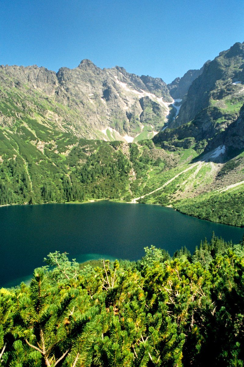 a lake is surrounded by mountains in the middle of the forest