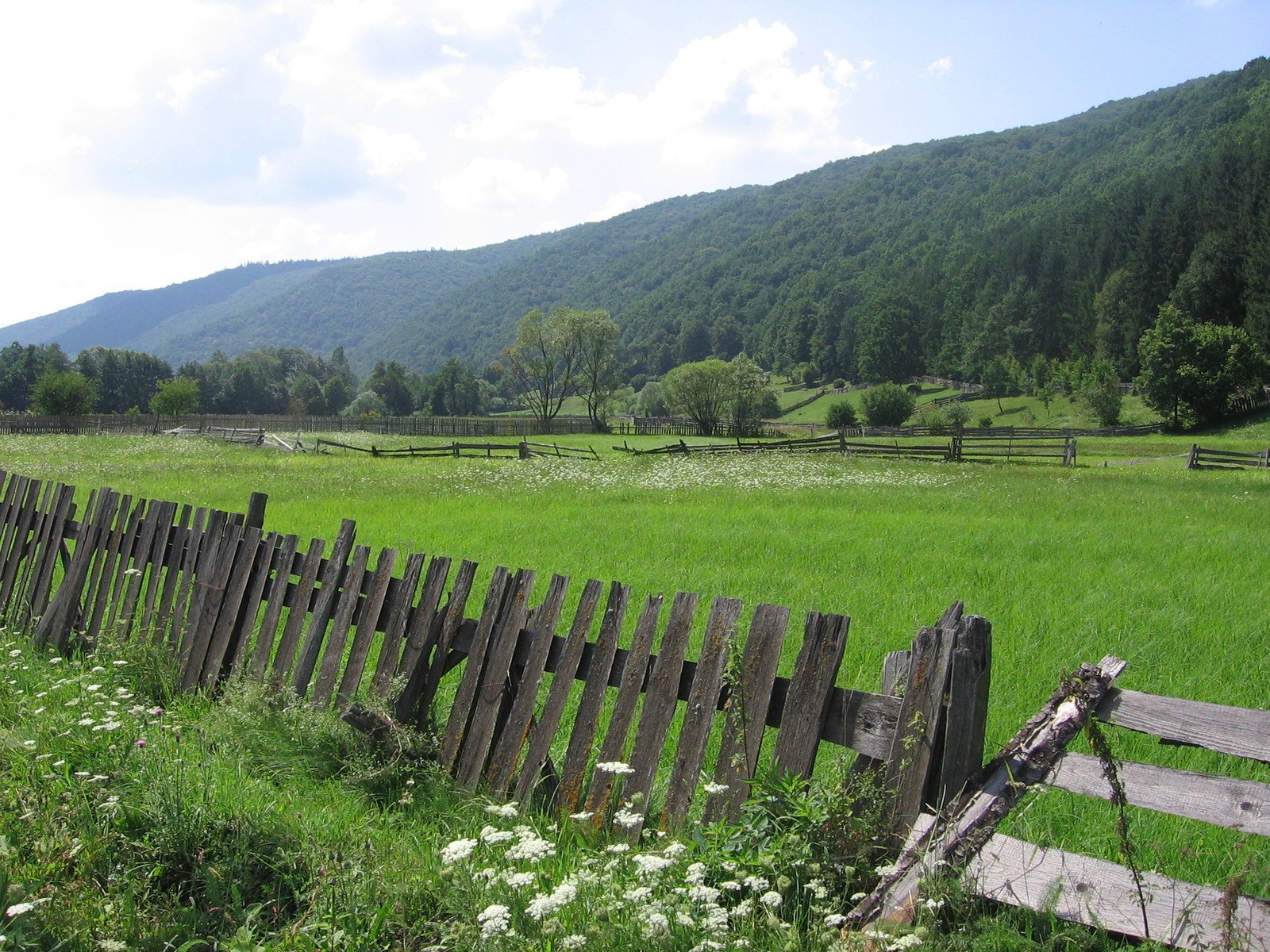 an old fence in front of a mountain with flowers