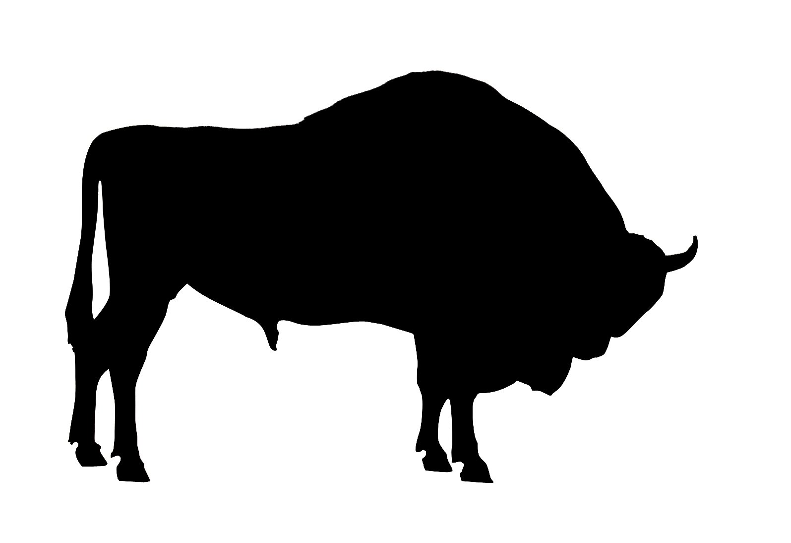 black and white image of a buffalo