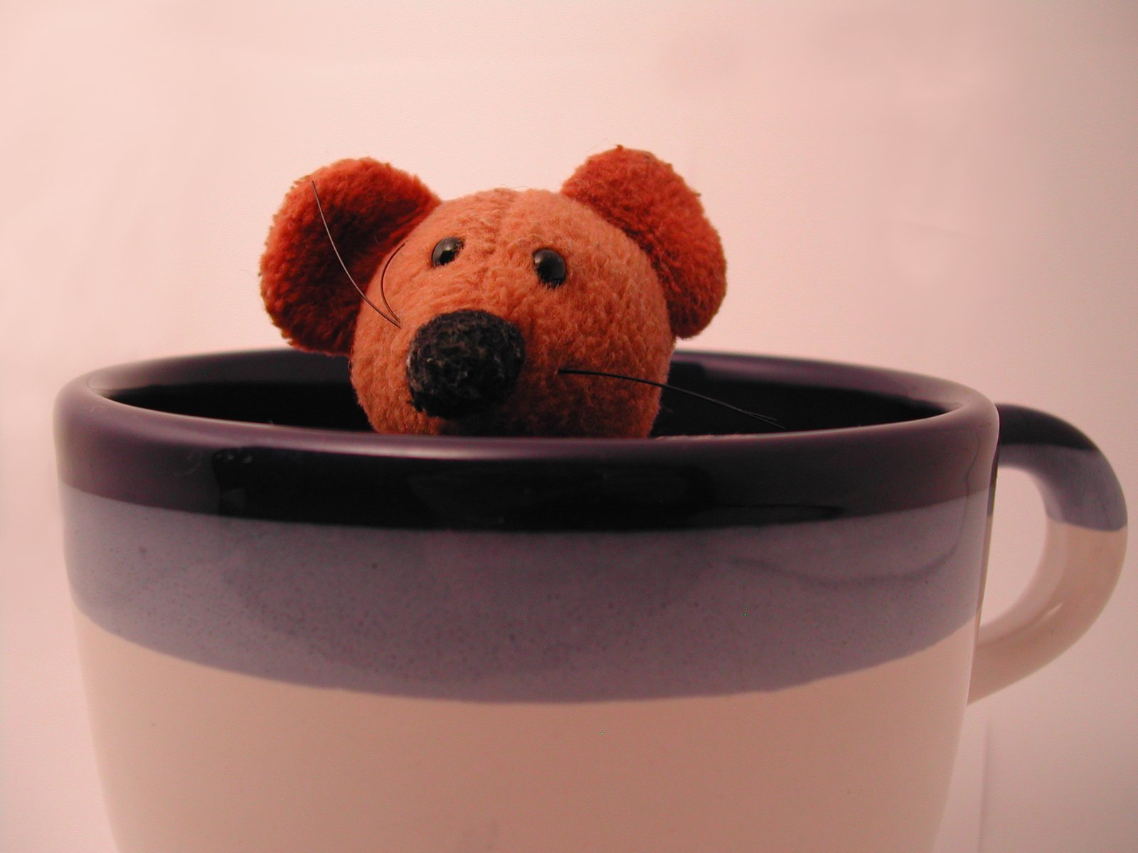 the small stuffed animal is inside the coffee cup