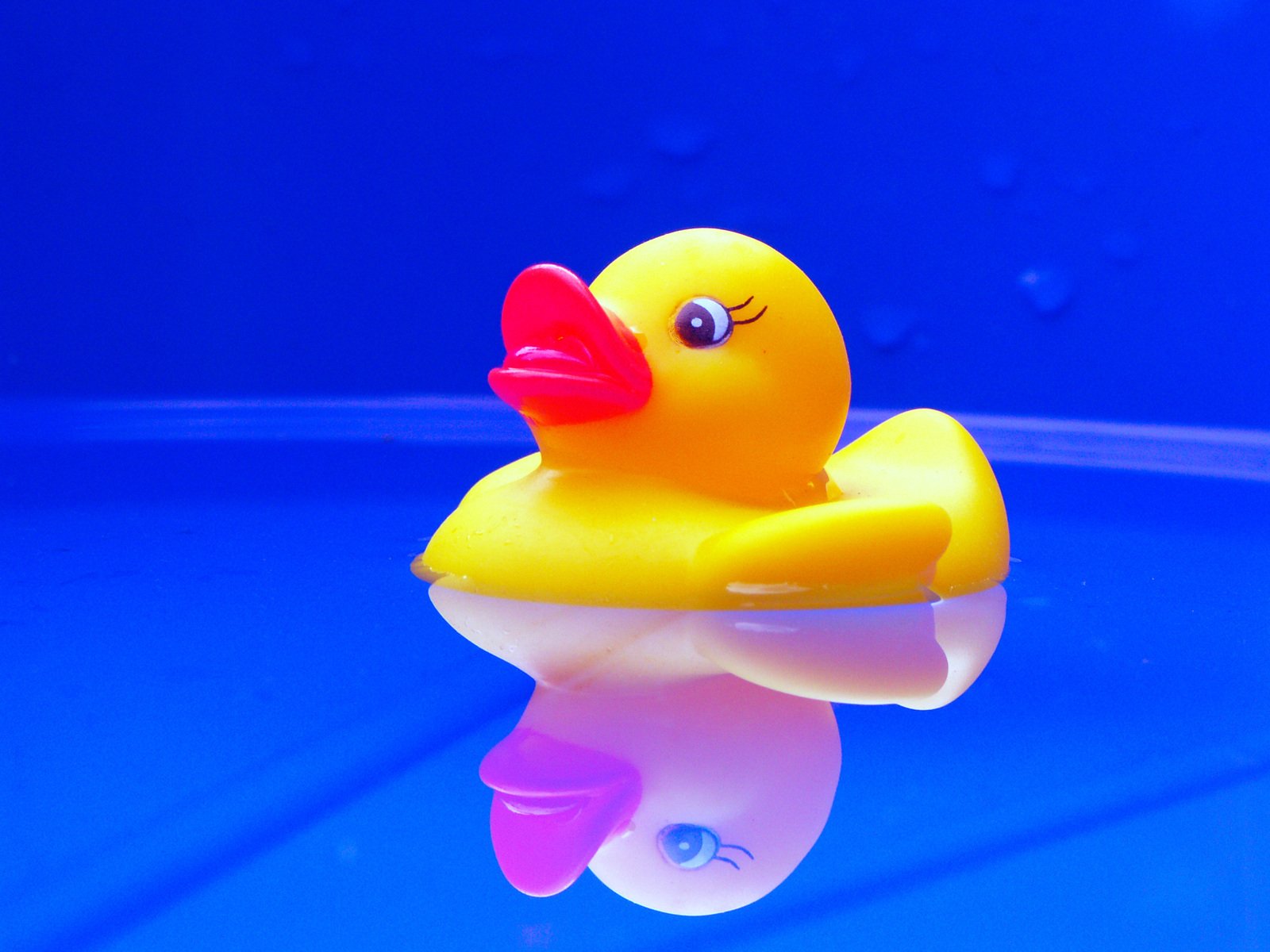 a yellow rubber ducky floating in a pool