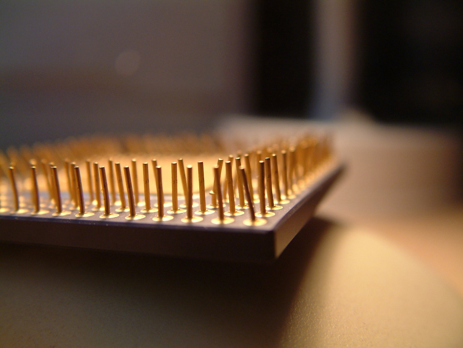 a close up s of some sort of hairbrush