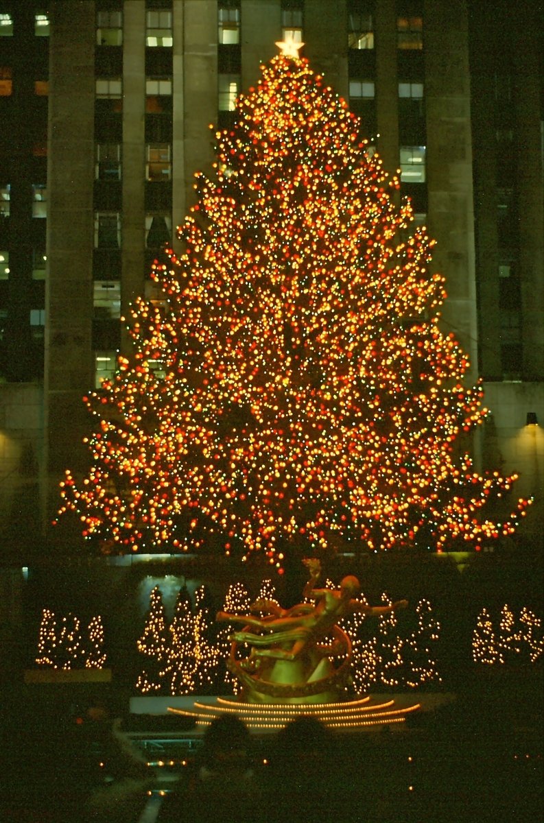 the christmas tree is brightly lit up in the night