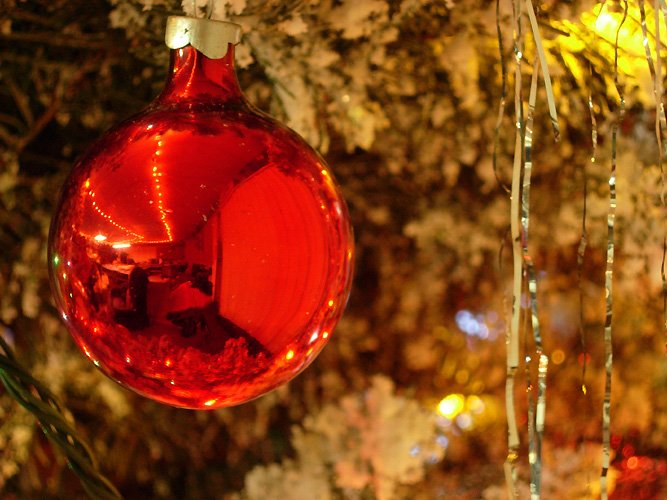 a red glass bauble hangs on a christmas tree