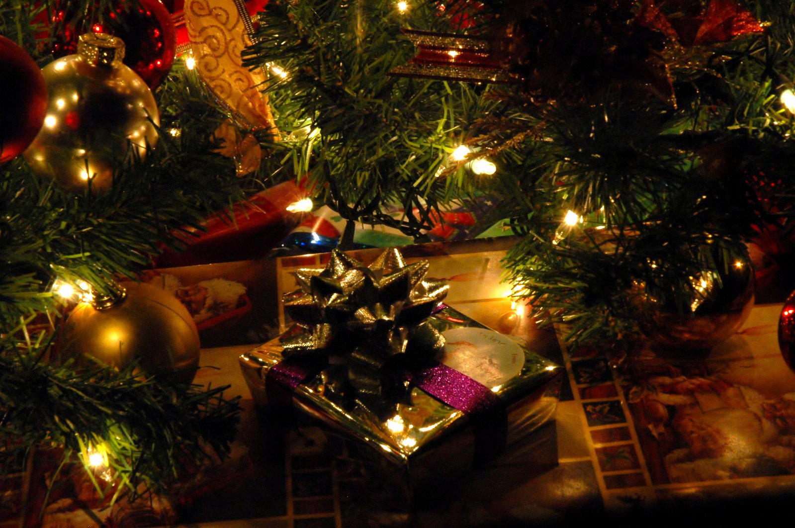 many presents are wrapped in christmas paper and placed under christmas trees