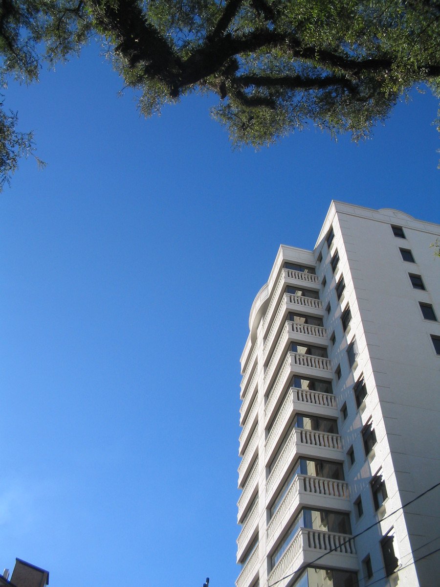 an upward view of an apartment building and a tree on a clear day