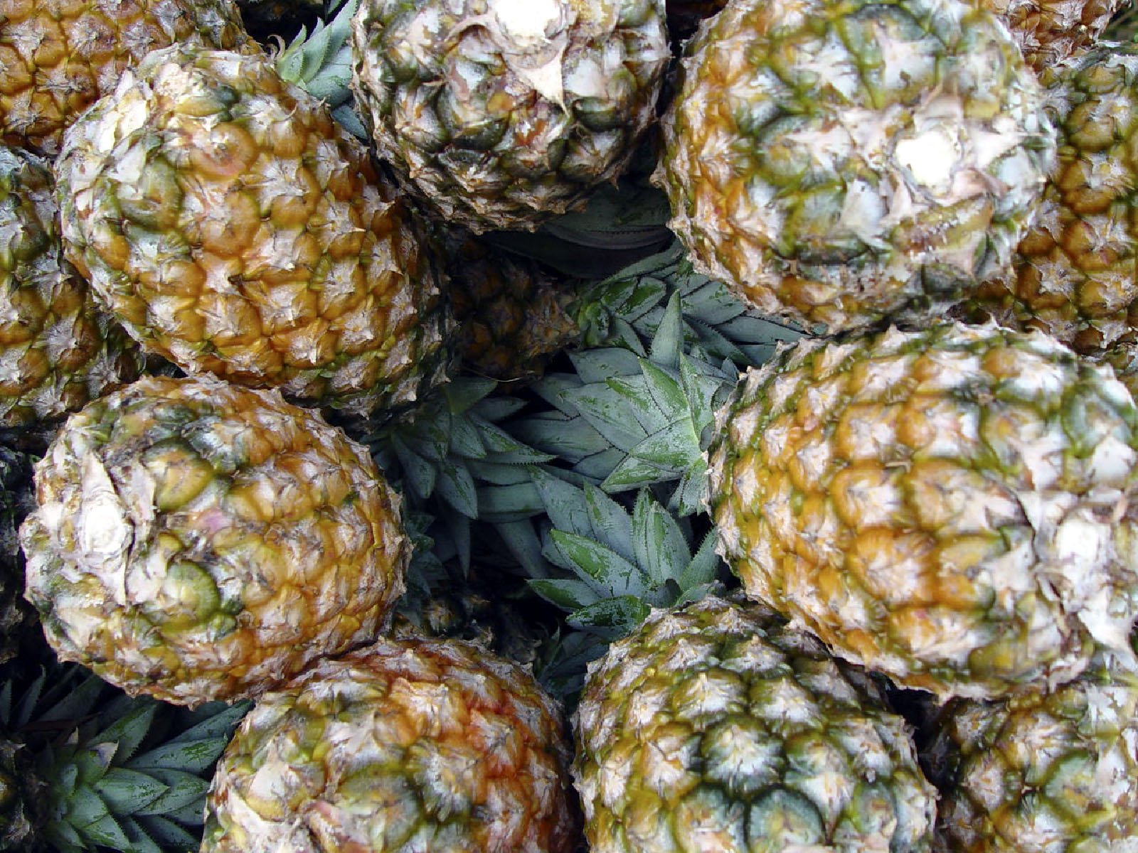 pineapples are piled together in piles to be eaten