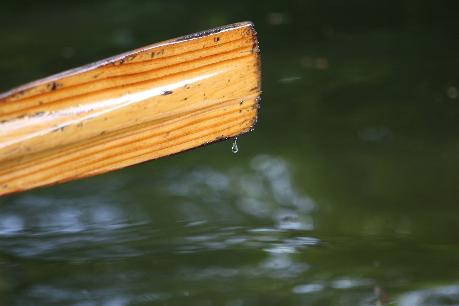 wooden planks that are floating in water