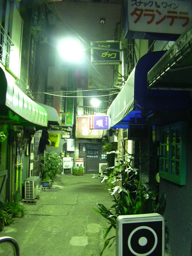 a street at night with signs, plants and a lamp