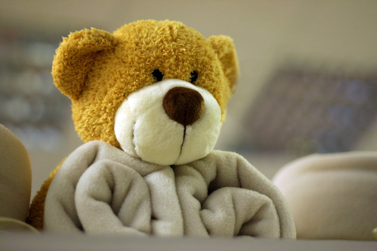 a teddy bear is wrapped in a blanket