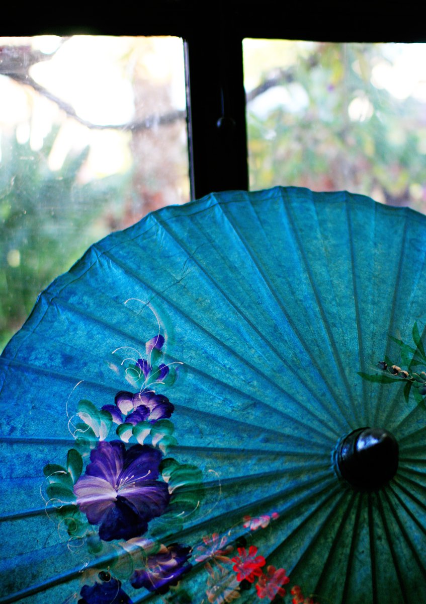 a close up of an umbrella near a window