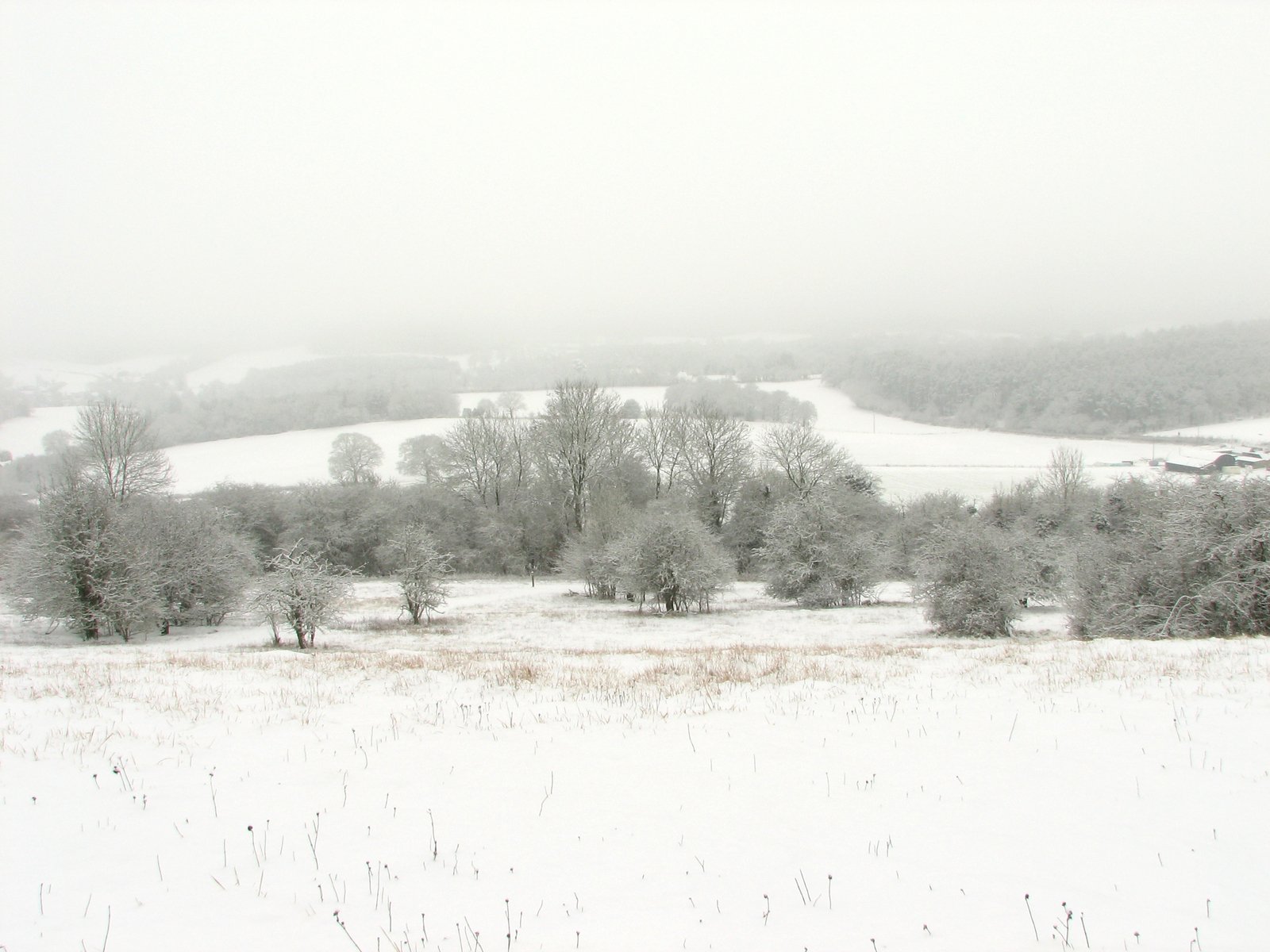 a snow covered country scene with trees on the hill