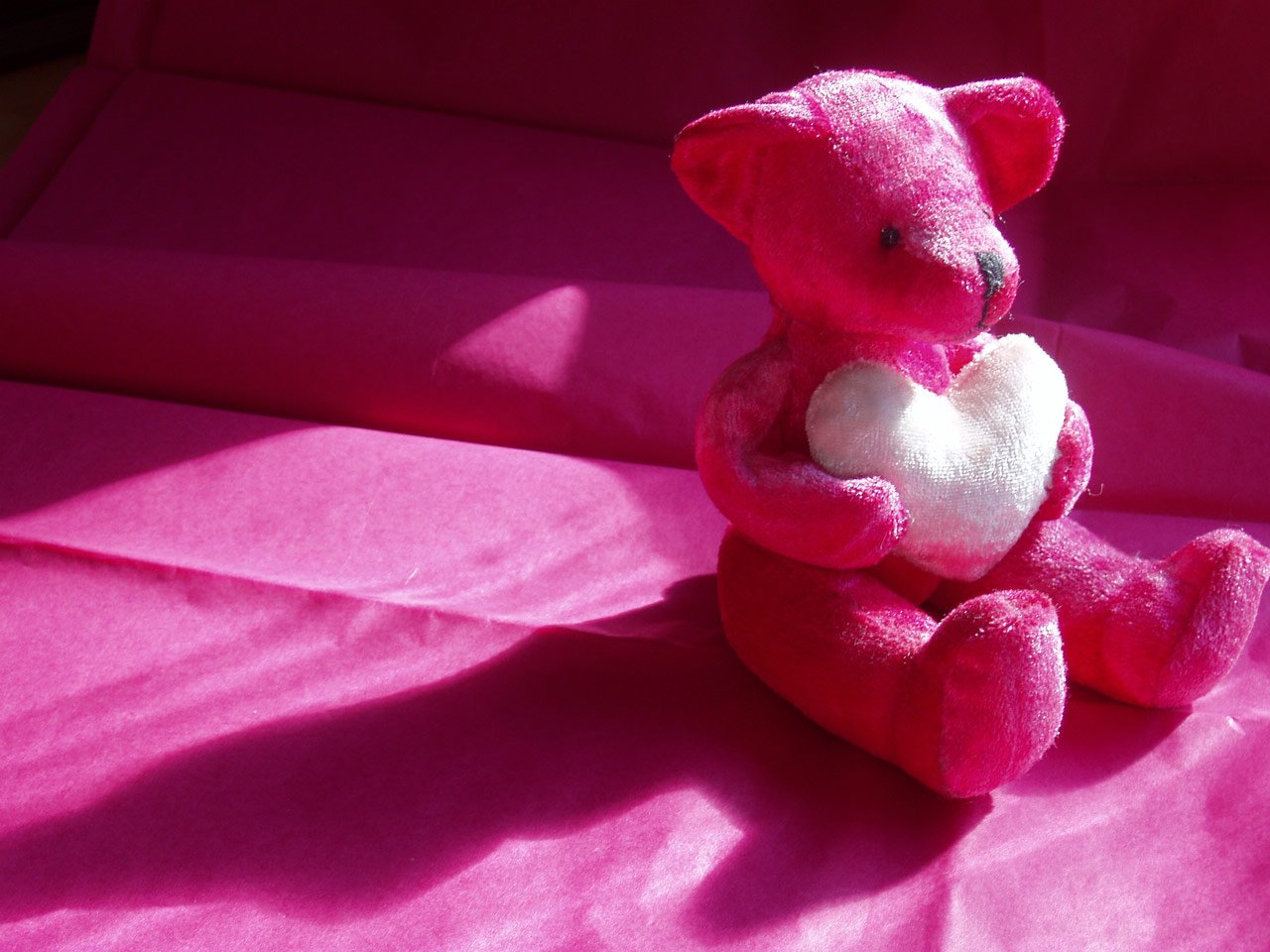 a pink teddy bear with a white heart