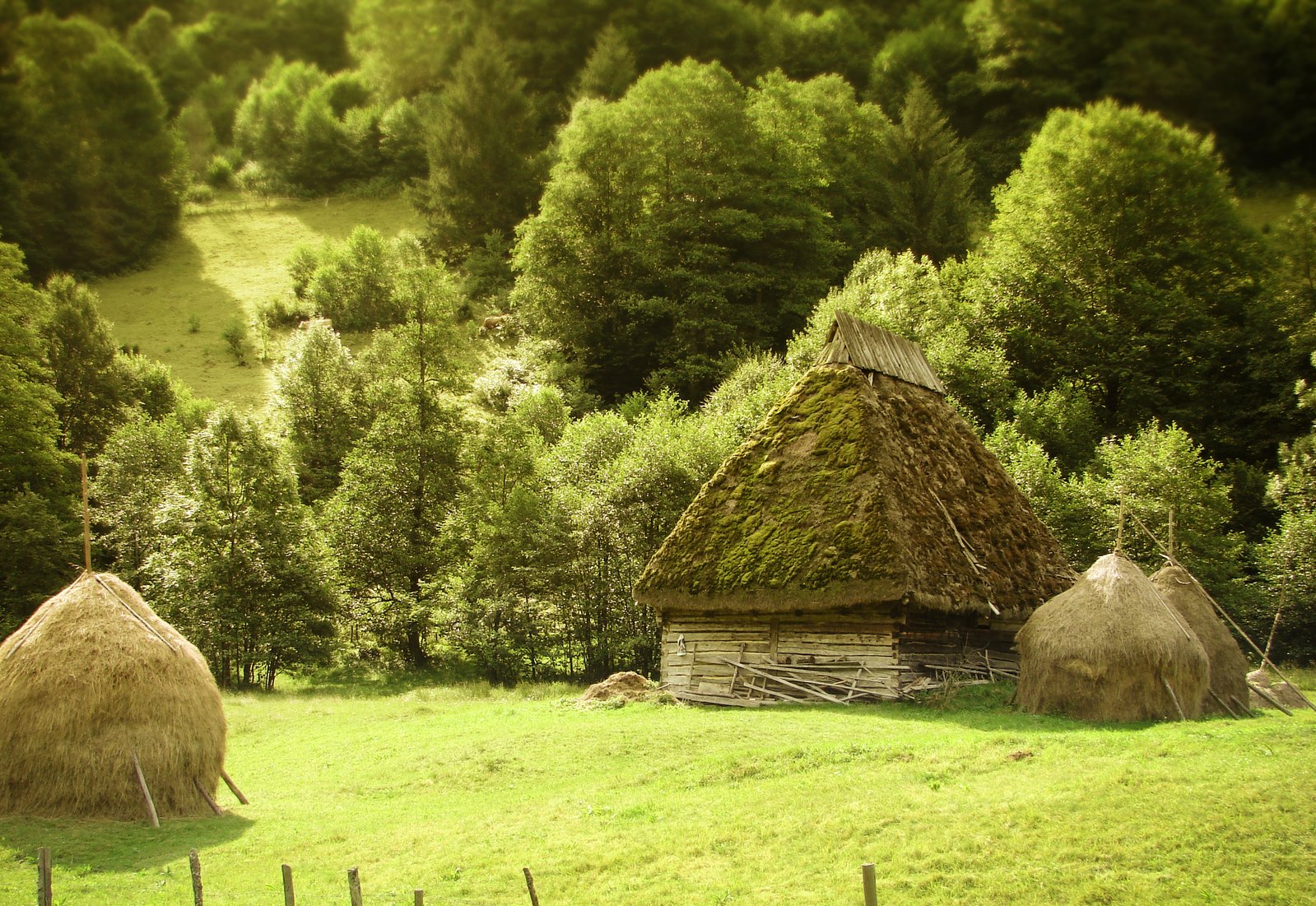 a number of grass huts in a field