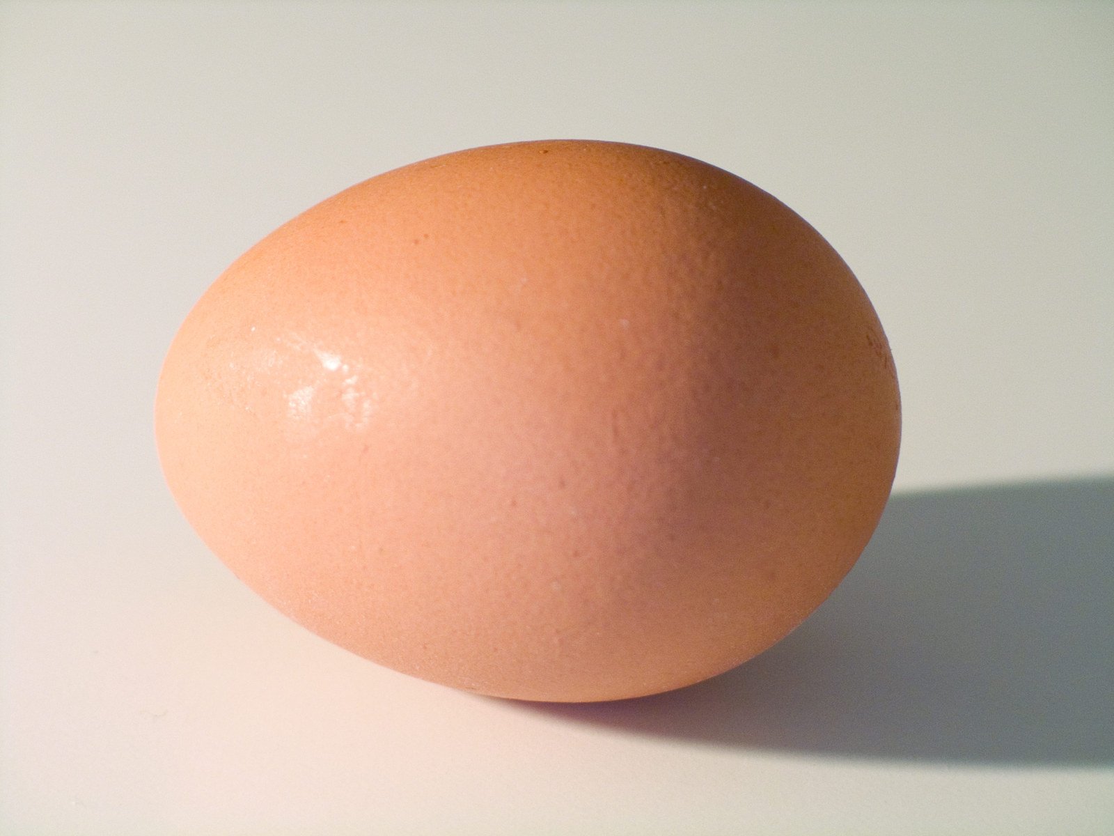 an egg laying on top of a white table
