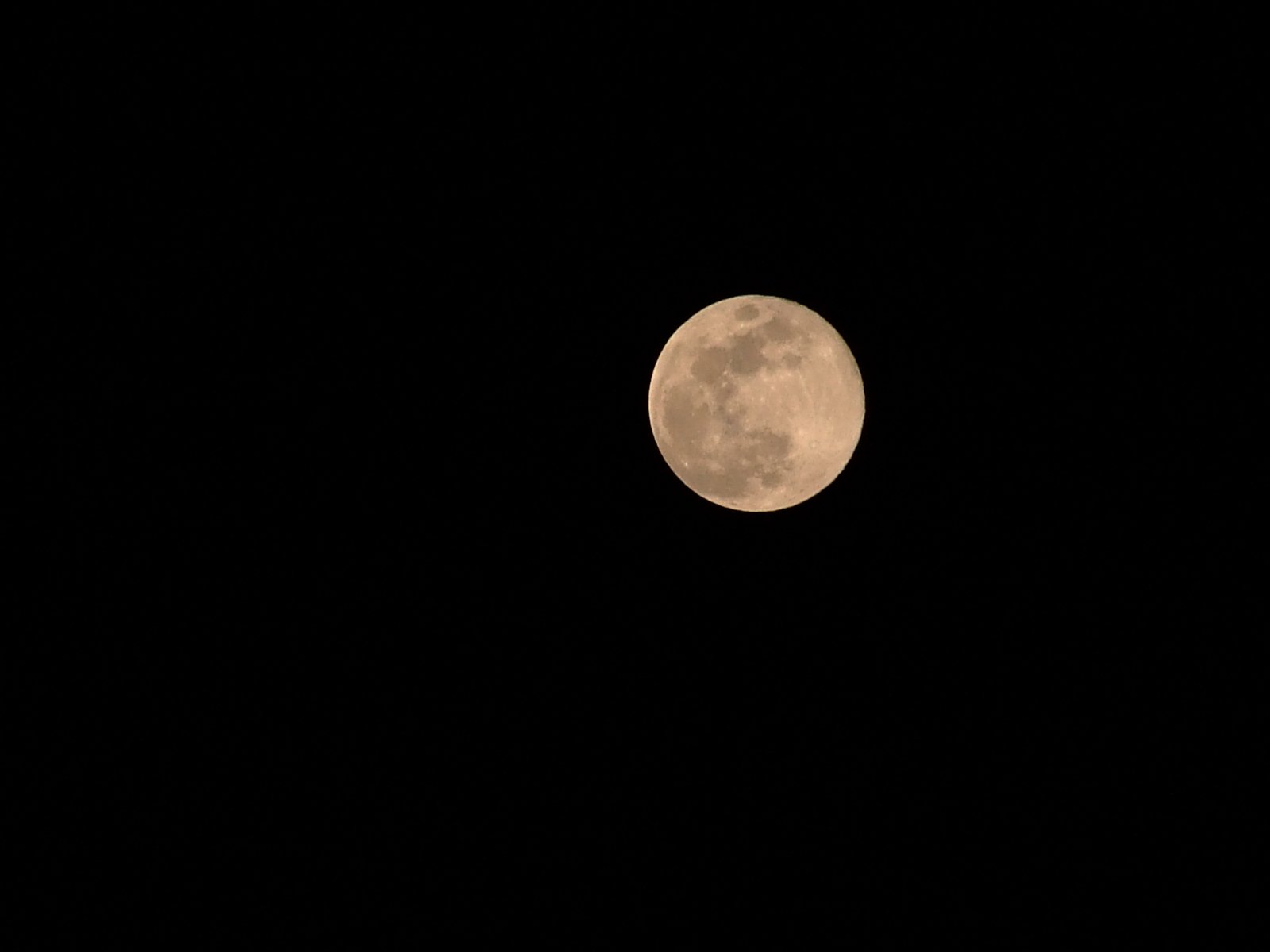 the full moon is visible in the night sky