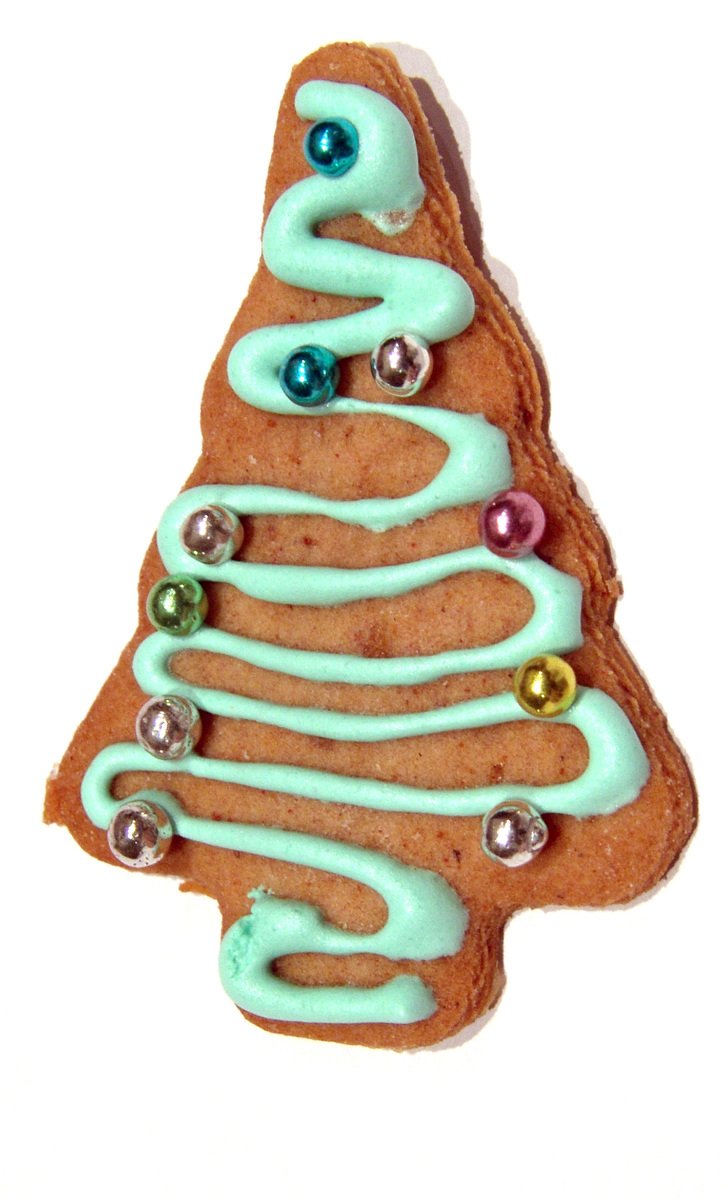 a very decorated christmas tree shaped cookie