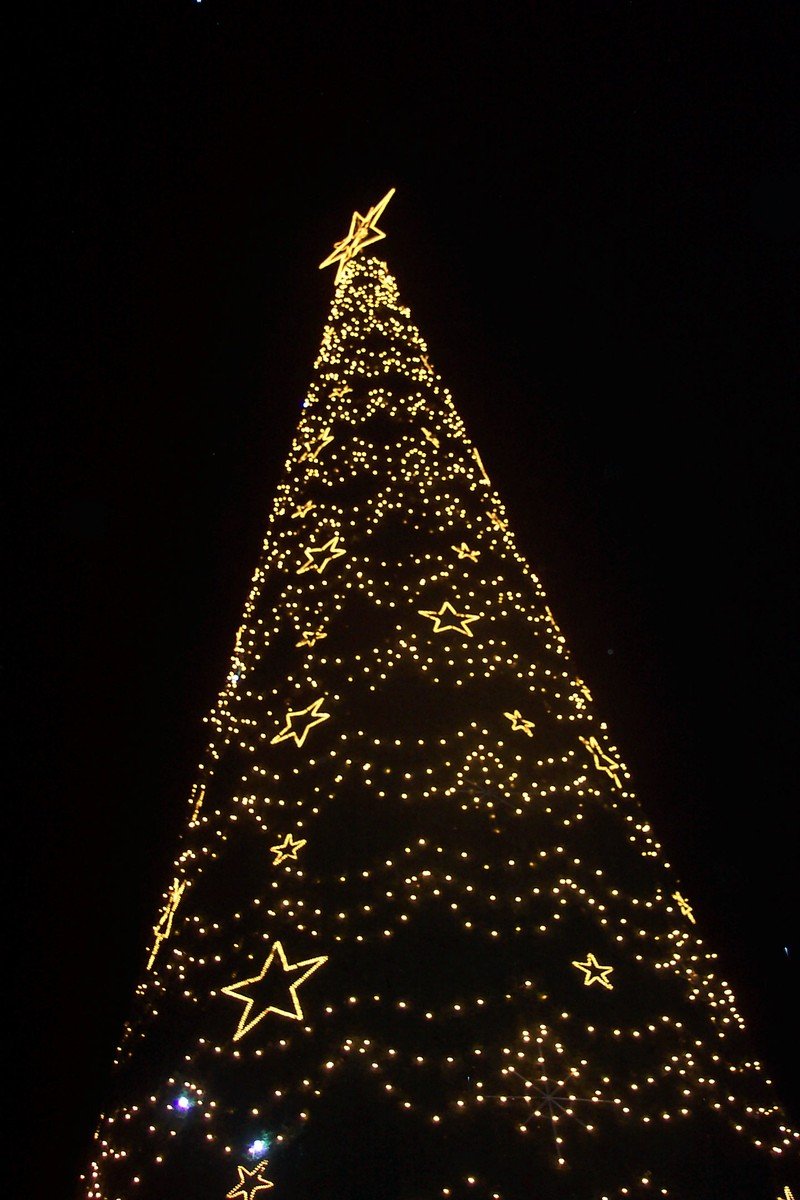 the lighted christmas tree is shining brightly